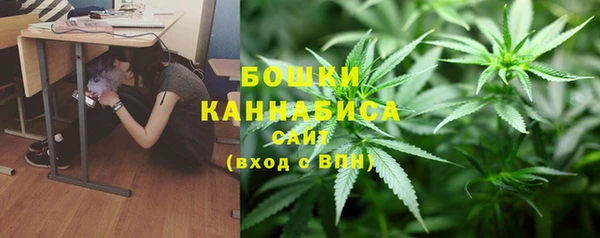 гашик Осташков
