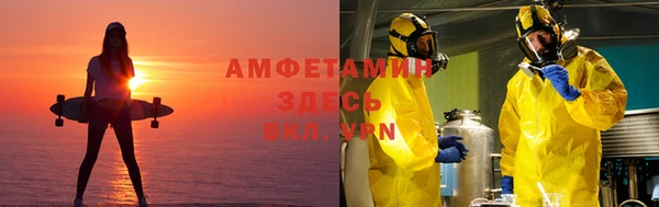 гашик Осташков