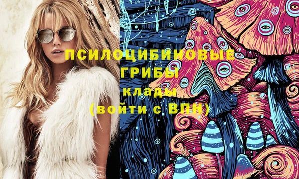 2c-b Осинники