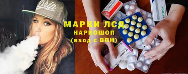 гашик Осташков